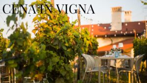 Cena in Vigna
