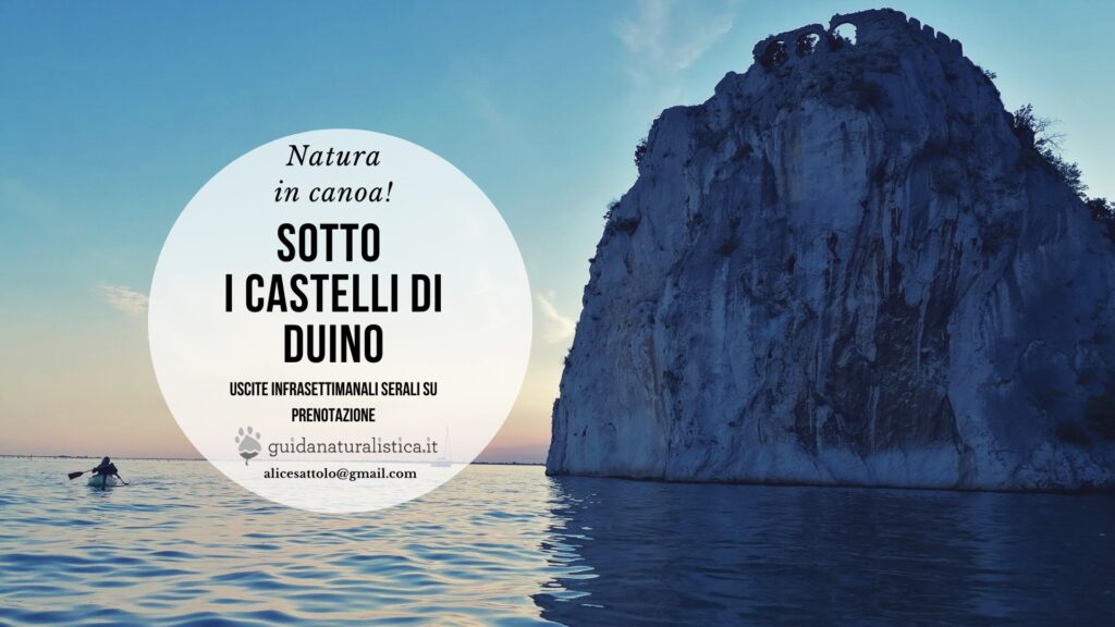 Sotto i Castelli di Duino al Tramonto - Sotto i Castelli di Duino al Tramonto - EventiFVG.it
