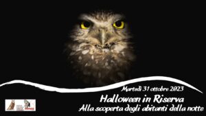 Halloween in Riserva – alla scoperta degli abitanti della notte