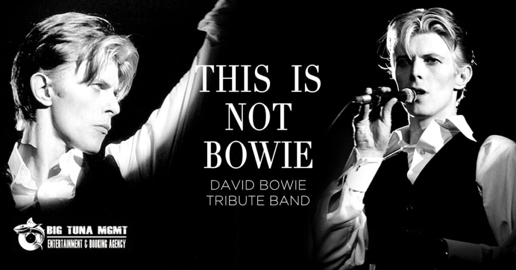 THIS IS NOT BOWIE - DAVID BOWIE TRIBUTE BAND live@MIAMI SOUND CAFE', TORRI DI QUARTESOLO (VI) - THIS IS NOT BOWIE - DAVID BOWIE TRIBUTE BAND live@MIAMI SOUND CAFE', TORRI DI QUARTESOLO (VI) - EventiFVG.it