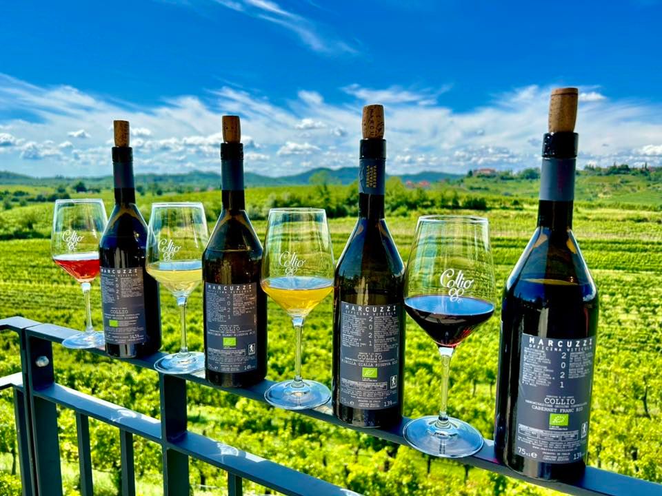 Vigneti Aperti 28/29 Ottobre - Vigneti Aperti 28/29 Ottobre - EventiFVG.it