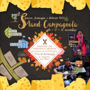 ACOUSTIC SONGBOOK DUO – 11 novembre – Gemona formaggio e dintorni