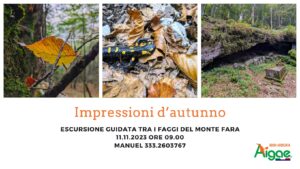 Impressioni d’autunno tra i faggi del Monte Fara