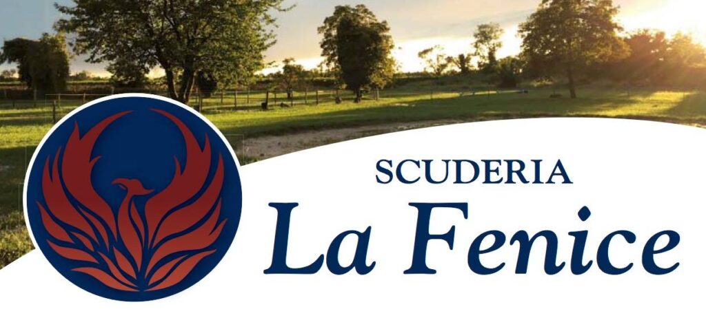 Natale in Scuderia - venerdì 8 Dicembre dalle 14.00 alle 18.00 🎄🐴🎁 - EventiFVG.it