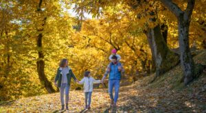 A passeggio sull’Arzino – 1°Gennaio24