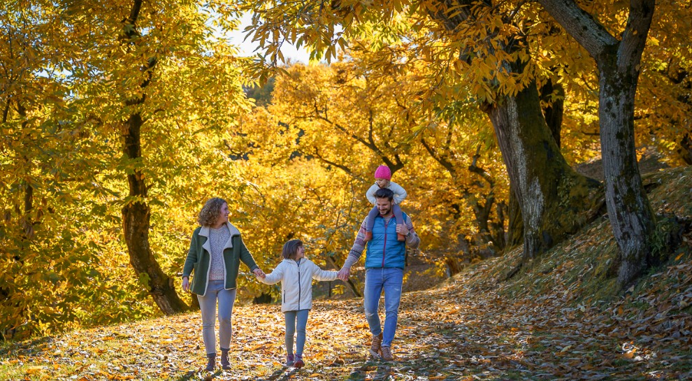 A passeggio sull'Arzino - 1°Gennaio24 - A passeggio sull'Arzino - 1°Gennaio24 - EventiFVG.it