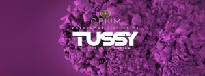 Tussy / Electronica Latina