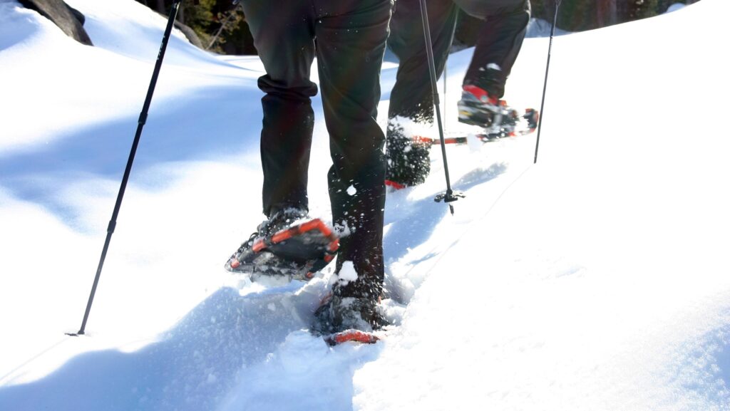 Ciaspolata al rifugio Marinelli, al cospetto del monte Coglians - EventiFVG.it