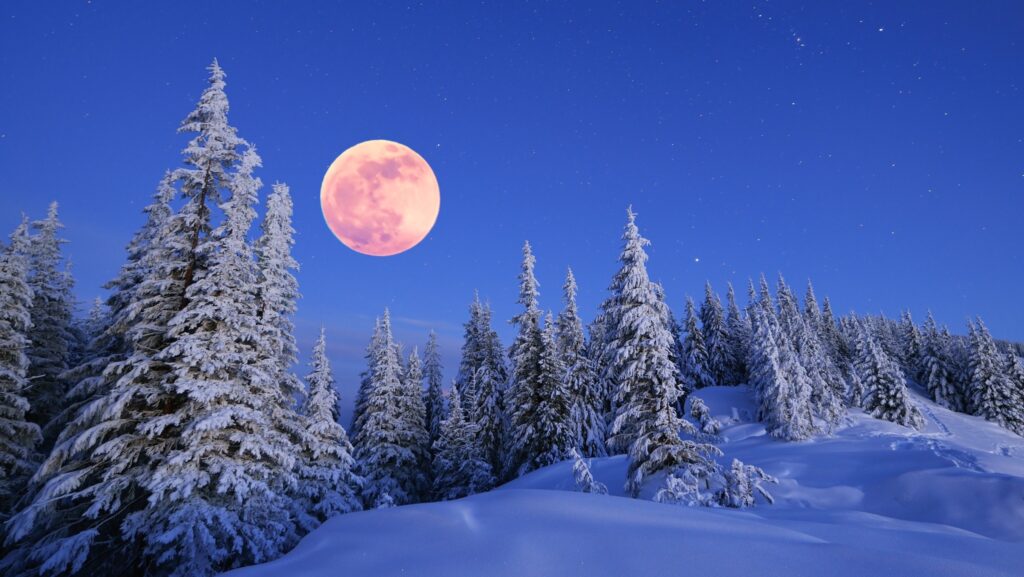 La luna piena e la neve… Ciaspolata notturna in Val Rauna - EventiFVG.it
