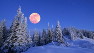 La luna piena e la neve… Ciaspolata notturna in Val Rauna