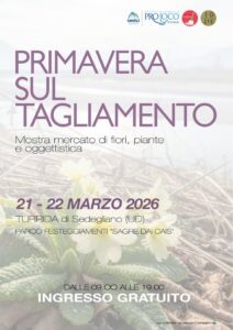 Primavera sul Tagliamento