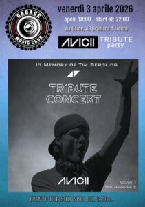 AVICII Tribute Party