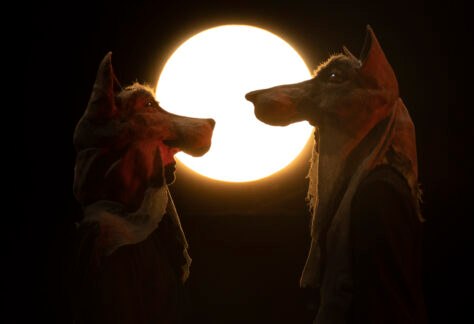 𝐑𝐎𝐒𝐀𝐋𝐔𝐍𝐀 𝐄 𝐈 𝐋𝐔𝐏𝐈 - EventiFVG.it