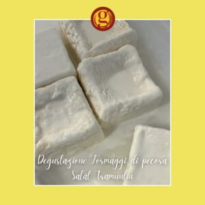 Salat Tramuntin – Degustazione formaggi di pecora Fratelli Gambon