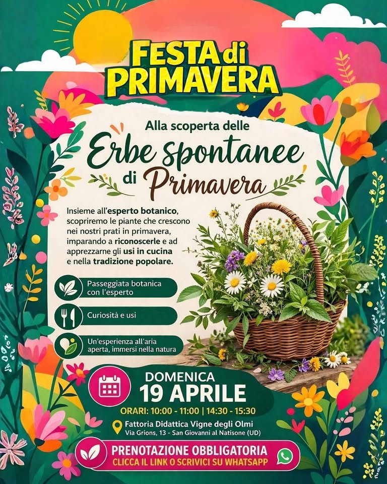 🌿 Alla Scoperta delle Erbe Spontanee di Primavera 🌸 | Festa di Primavera - EventiFVG.it