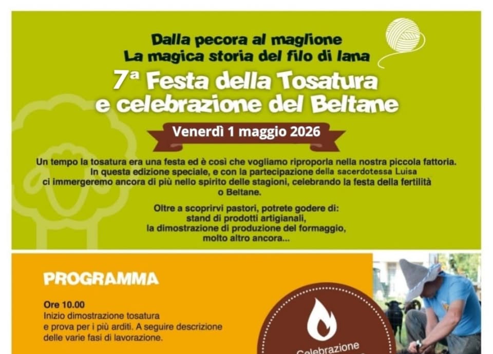 Festa della Tosatura, dalla pecora al maglione - EventiFVG.it