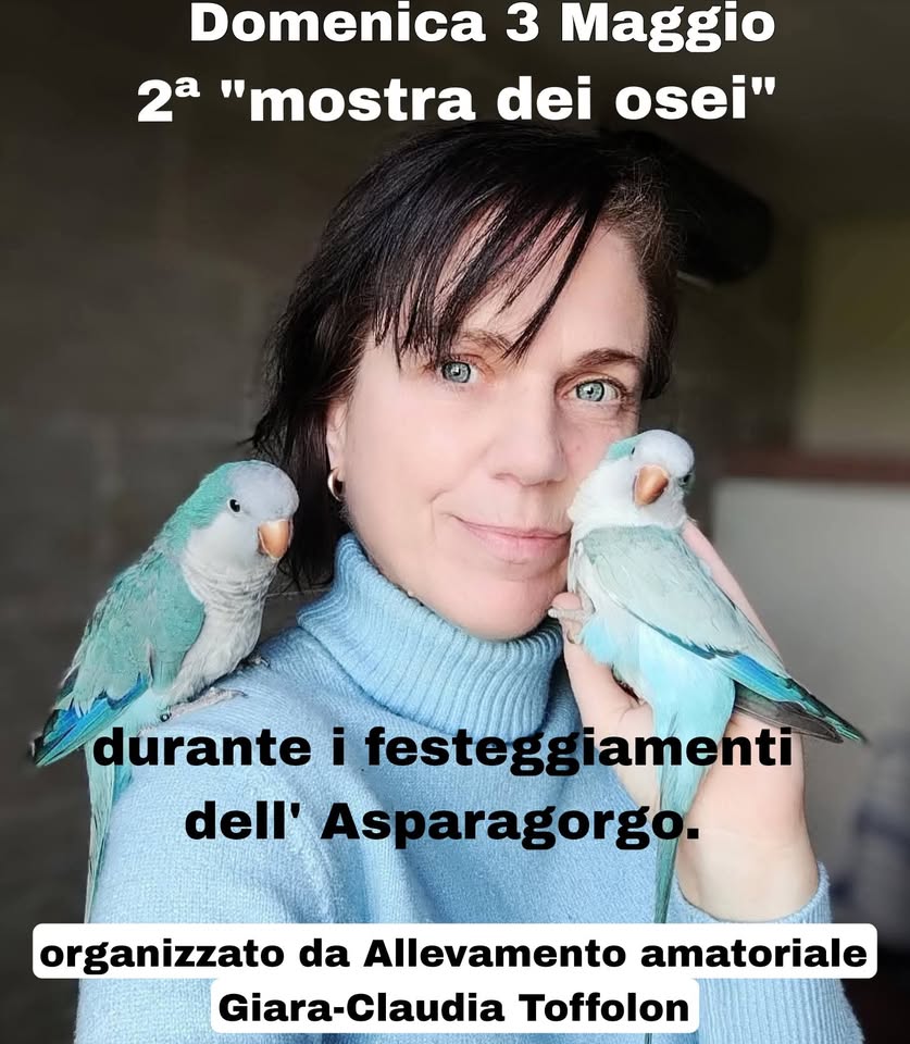 mostra dei osei a cura dell' allevamento Giara - EventiFVG.it