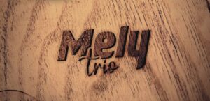 MelyTrio@Fabrika