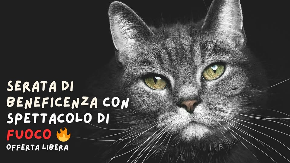 Serata dì beneficenza con Spettacolo di 🔥| offerta libera - Serata dì beneficenza con Spettacolo di 🔥| offerta libera - EventiFVG.it