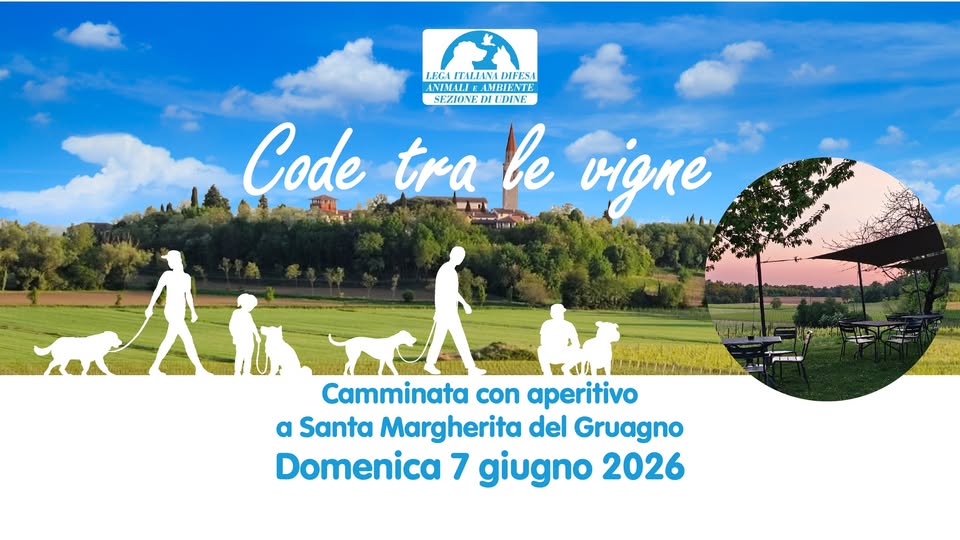 Code tra le vigne - Code tra le vigne - EventiFVG.it