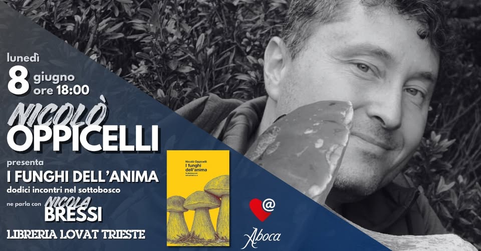 Nicolò OPPICELLI // i funghi dell'anima - Nicolò OPPICELLI // i funghi dell'anima - EventiFVG.it