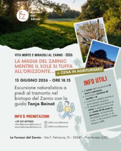 🌳La magia del Zarnic, mentre il sole si tuffa all’orizzonte🌄