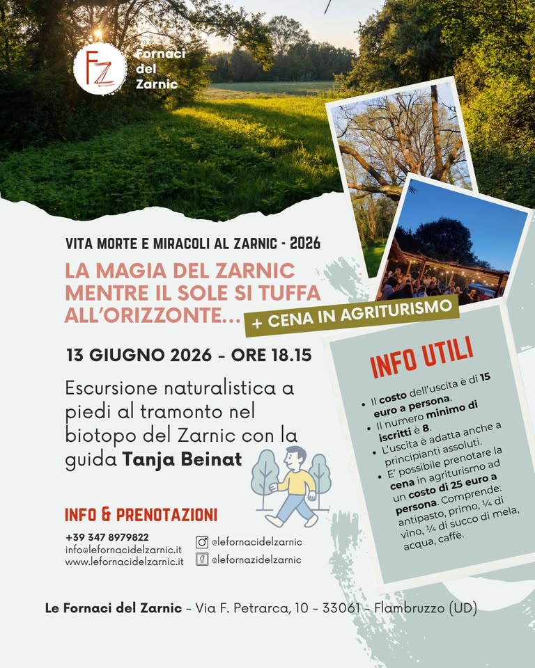 🌳La magia del Zarnic, mentre il sole si tuffa all’orizzonte🌄 - 🌳La magia del Zarnic, mentre il sole si tuffa all’orizzonte🌄 - EventiFVG.it
