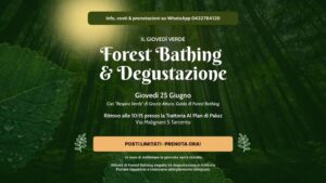 🌿 FOREST BATHING E PRANZO AL PLAN DI PALUZ – IL GIOVEDÃŒ VERDE 🌿