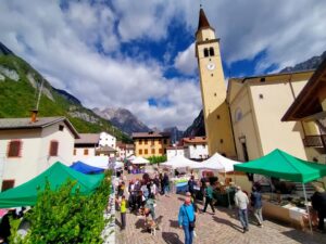 “La Cimoliana” marcia non competitiva all’interno della Val Cimoliana