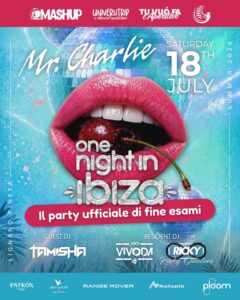 One night in Ibiza 🌴