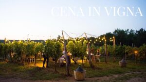 Cena in Vigna