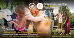 Sagra dei Osei a Sacile (PN) 🐴 06 Settembre 🐴 Allevamento Mini Pony Summano 🐴