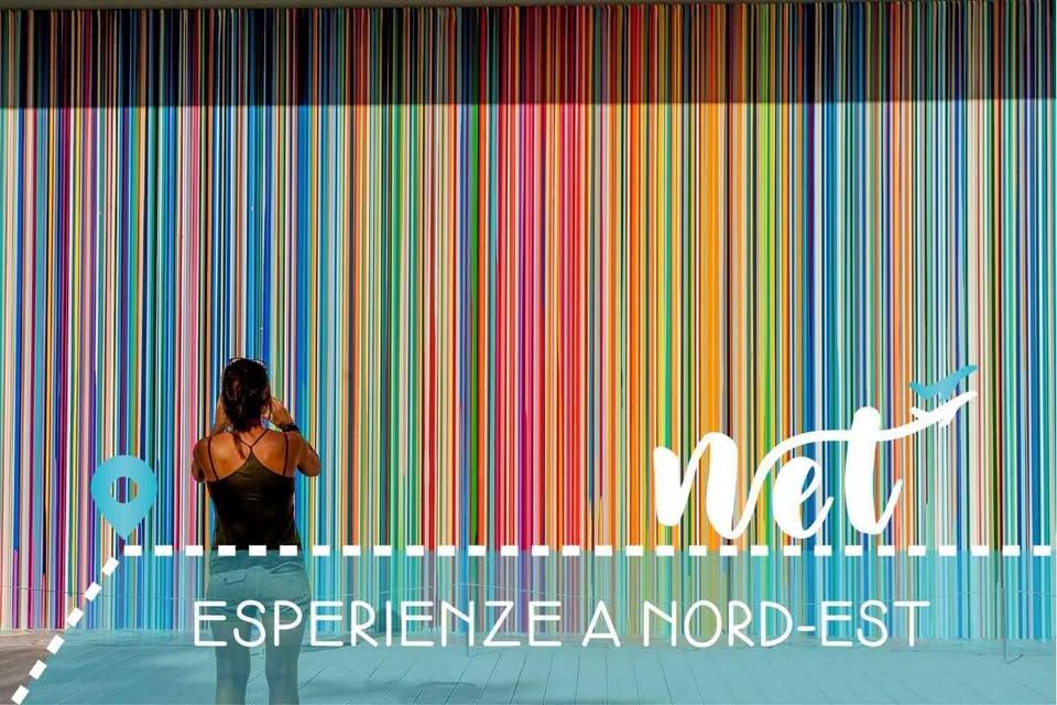 Biennale Arte Venezia 2026 – Arsenale e Giardini in un giorno - Biennale Arte Venezia 2026 – Arsenale e Giardini in un giorno - EventiFVG.it