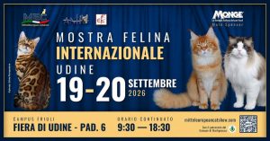 Esposizione internazionale felina – prima edizione – 19/20 Settembre 2026 – UDINE