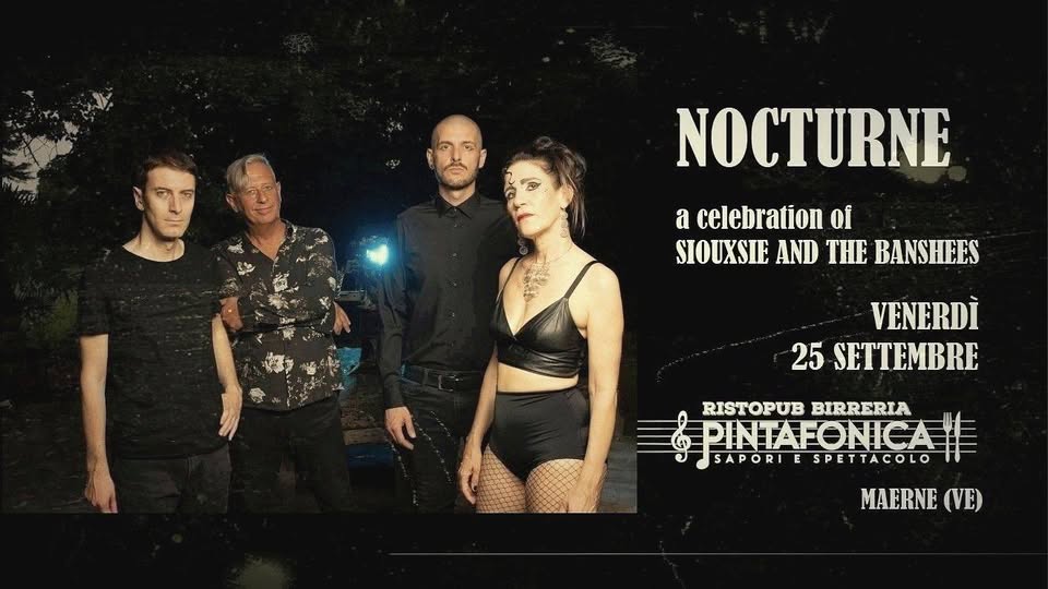 ℕ𝕆ℂ𝕋𝕌ℝℕ𝔼▪️a celebration of Siouxsie and the Banshees @ Pintafonica